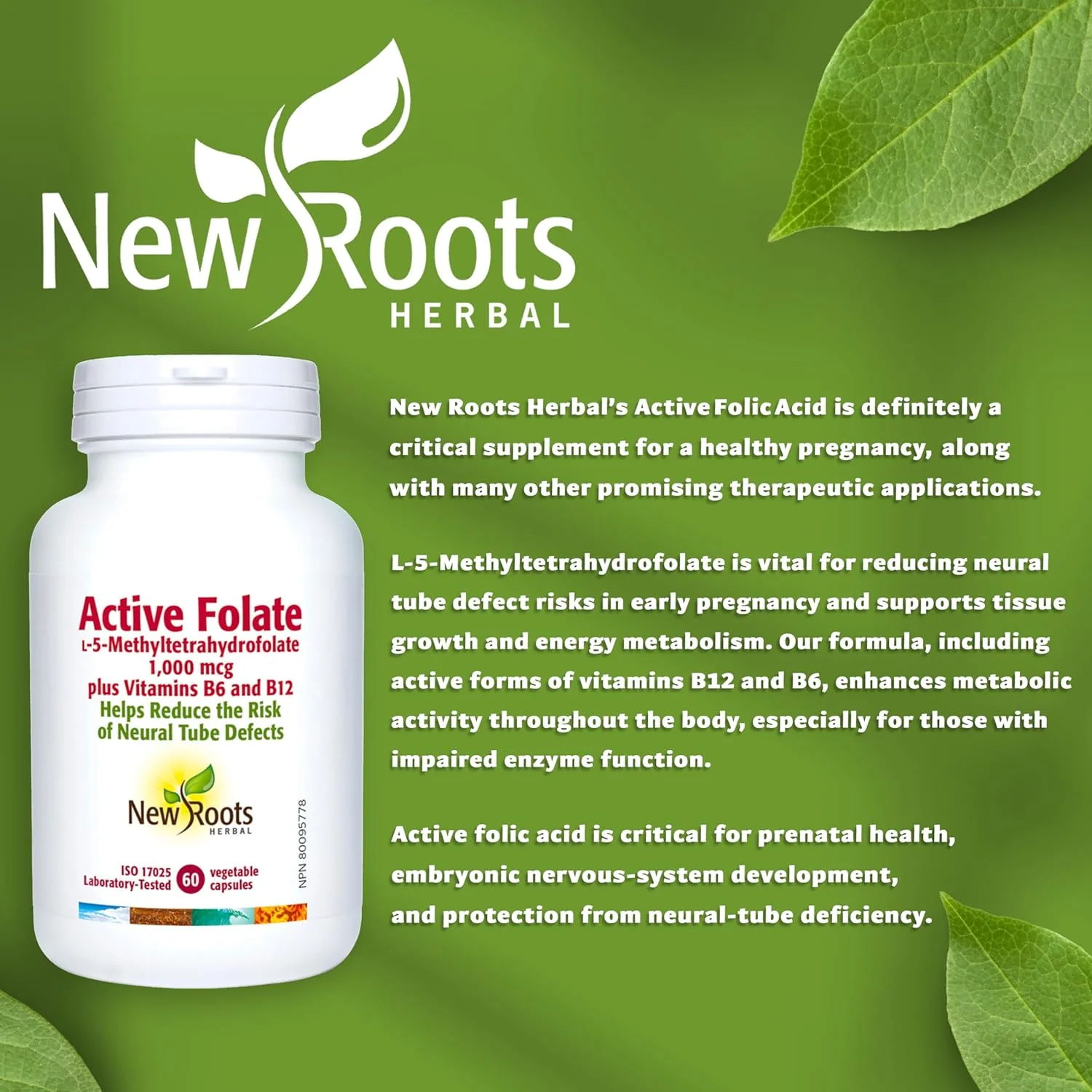 Active Folate by New Roots HERBAL® – L-5-MTHF with B6 & B12 | 60 Vegetable Capsules - Image 5