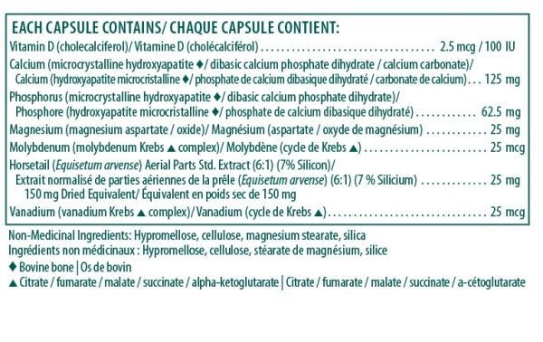 Aesculus hippocastanum | UNDA Gemmo | 125 mL - Image 3