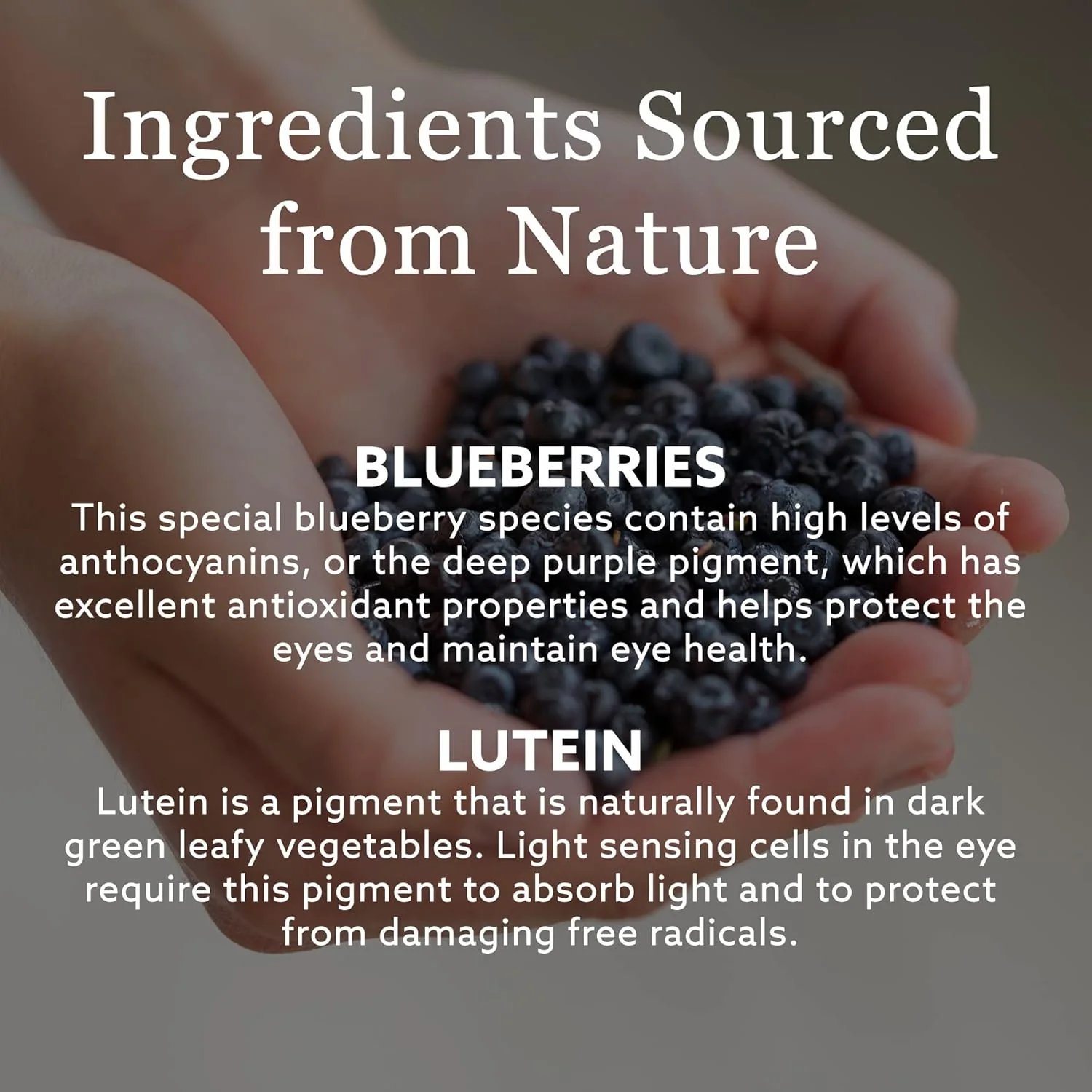 Blue Berry™ Strong | New Nordic | 60 Vegan Tablets - Image 4
