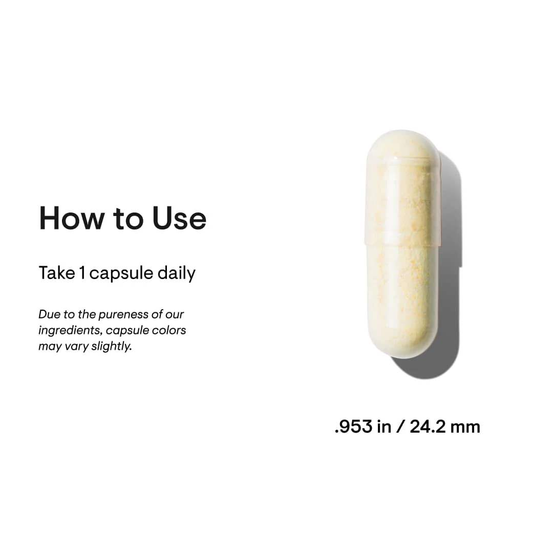 Brain Factors | Thorne® | 30 Capsules - Image 5