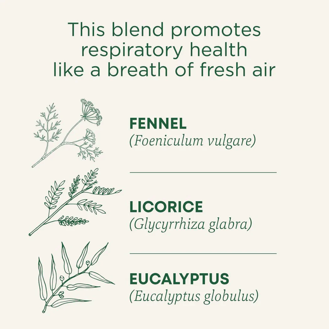 Breathe Easy® Tea | Traditional Medicinals® | 16 Tea Bags - Image 6
