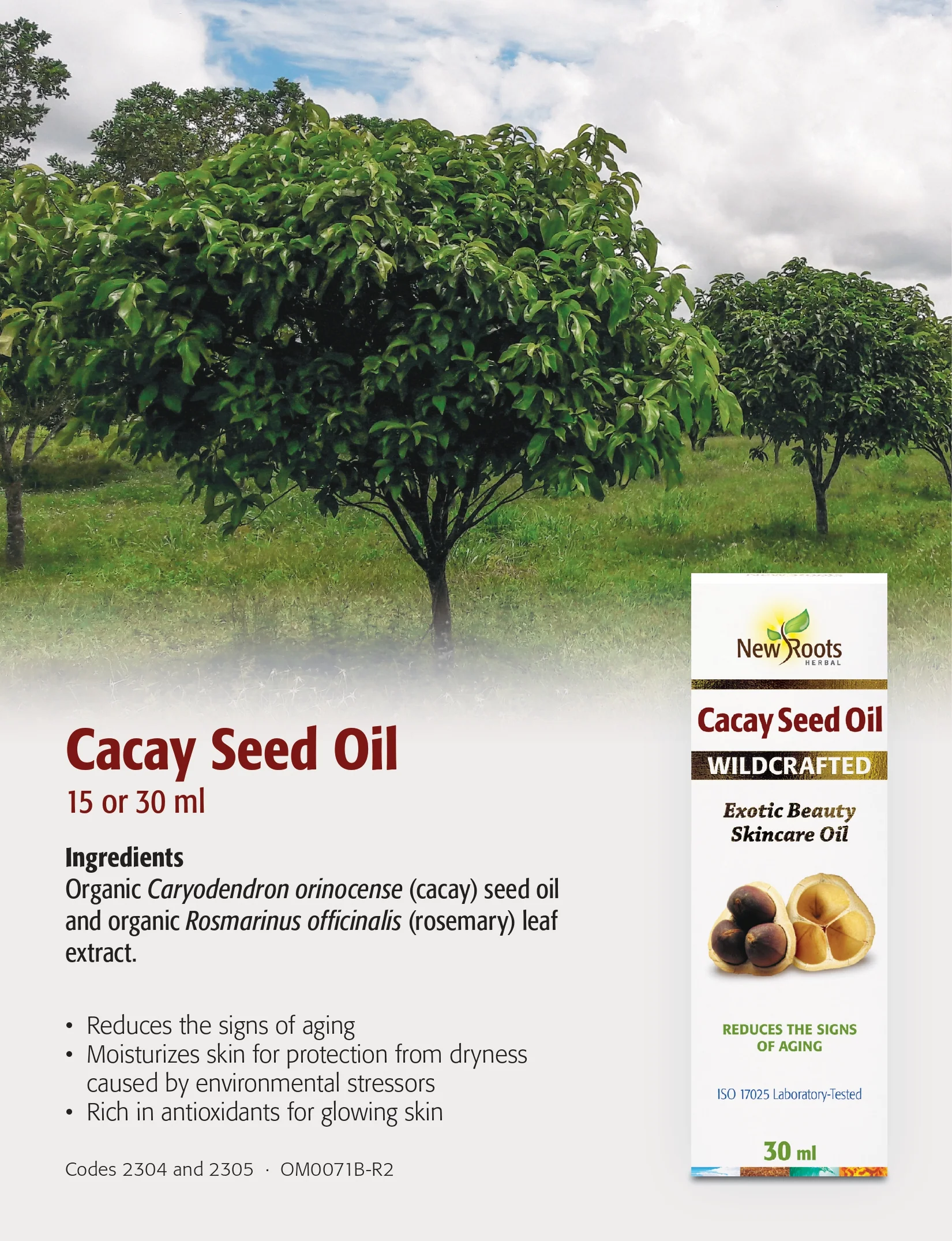 Sea Buckthorn Seed Oil | New Roots HERBAL® | 30 mL - Image 7