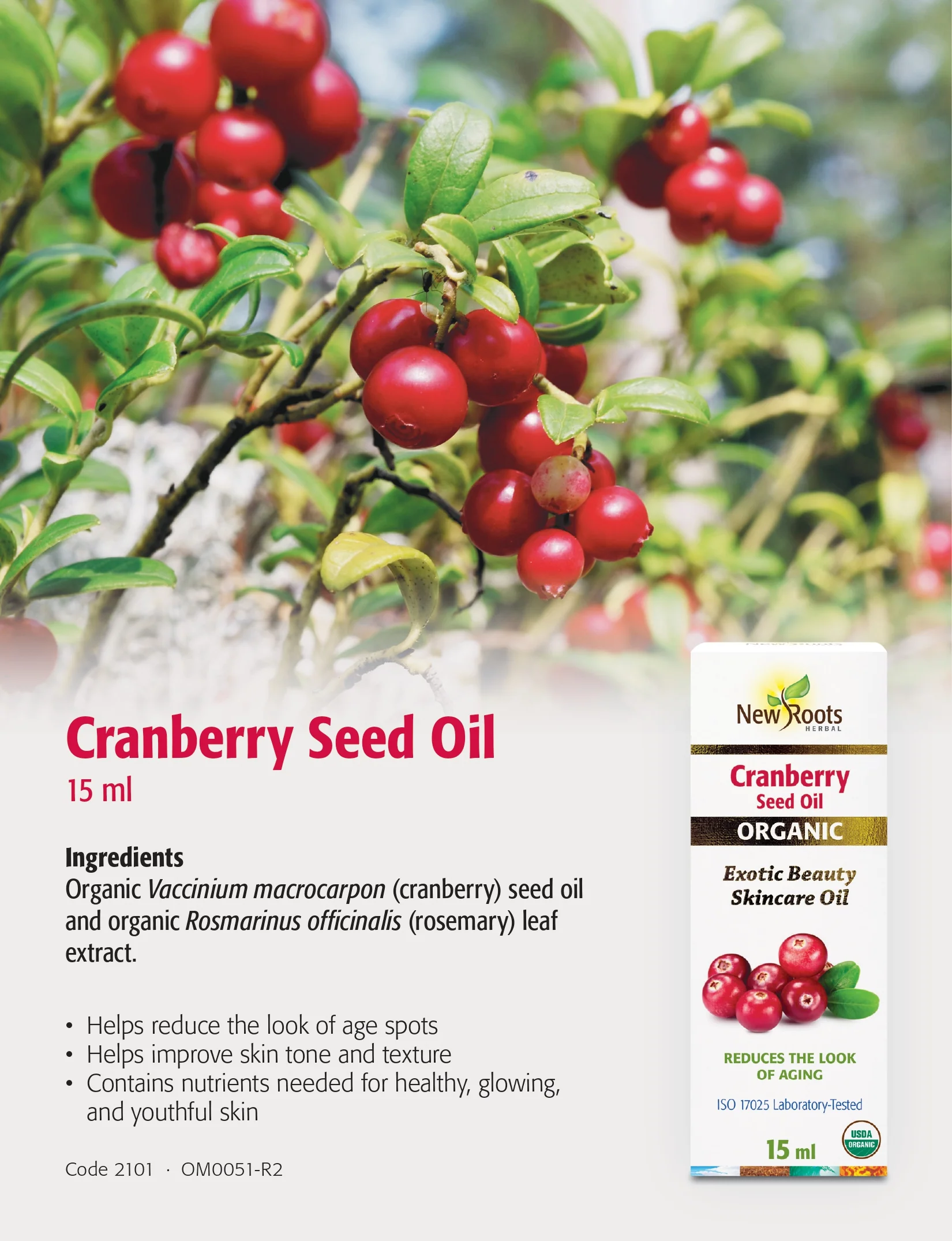 Sea Buckthorn Seed Oil | New Roots HERBAL® | 30 mL - Image 9