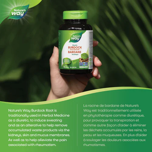 Burdock Root | Nature's Way® | 100 Capsules - Image 3