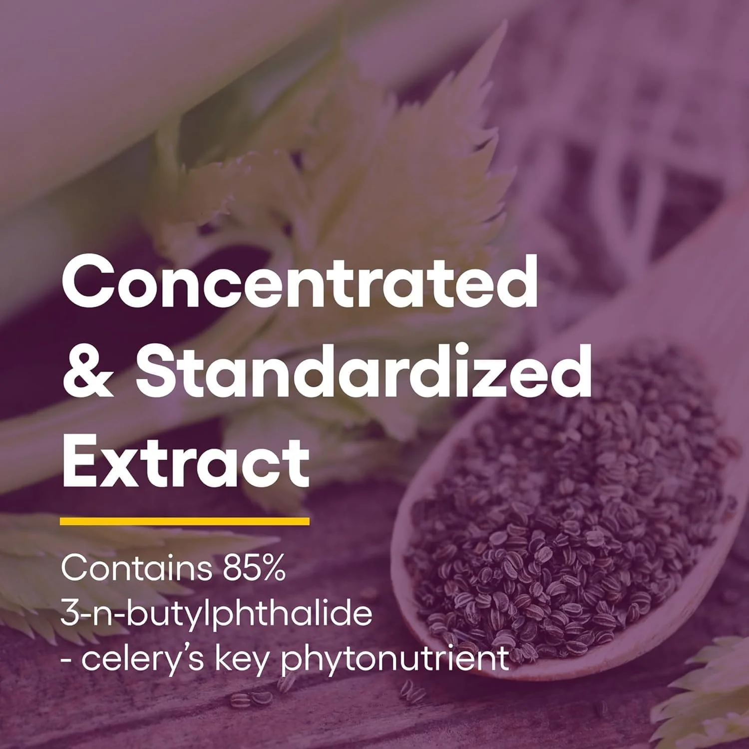 Celery Seed Extract | Natural Factors® | 60 Capsules - Image 5