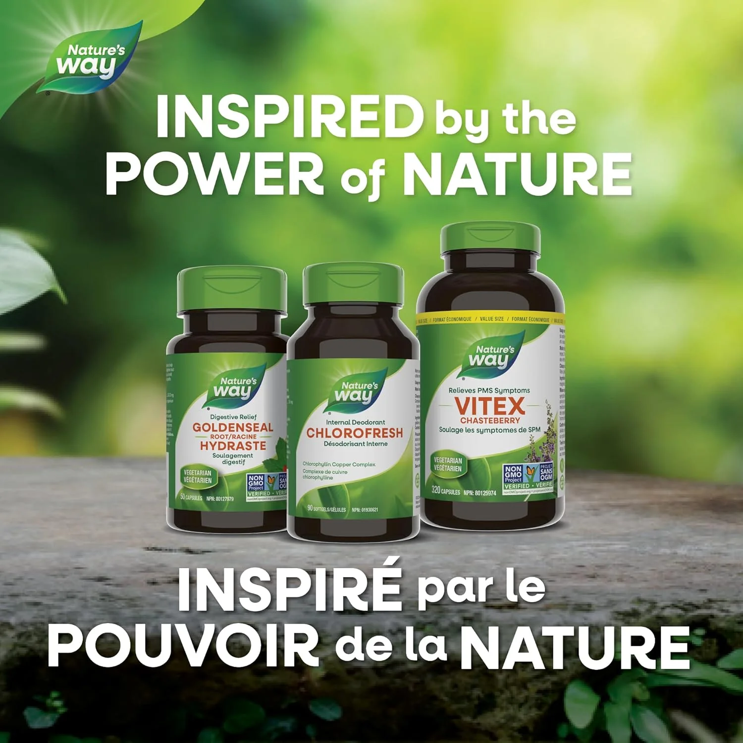 Chlorofresh® | Nature's Way® | 90 softgels - Image 6