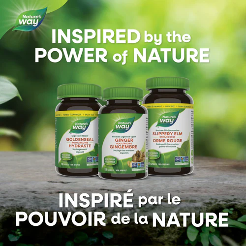 Dandelion Root | Nature's Way® | 100 or 180 Capsules - Image 10
