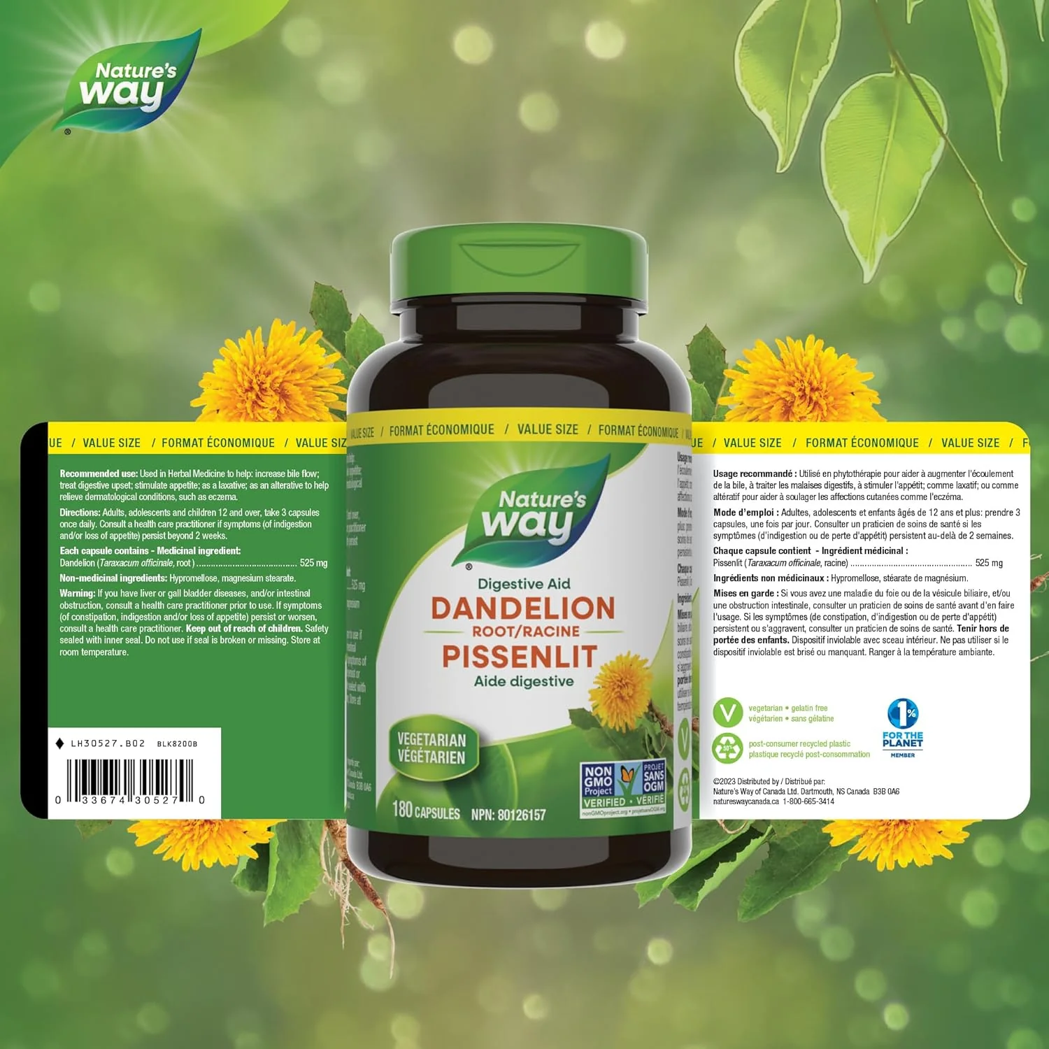 Dandelion Root | Nature's Way® | 100 or 180 Capsules - Image 6