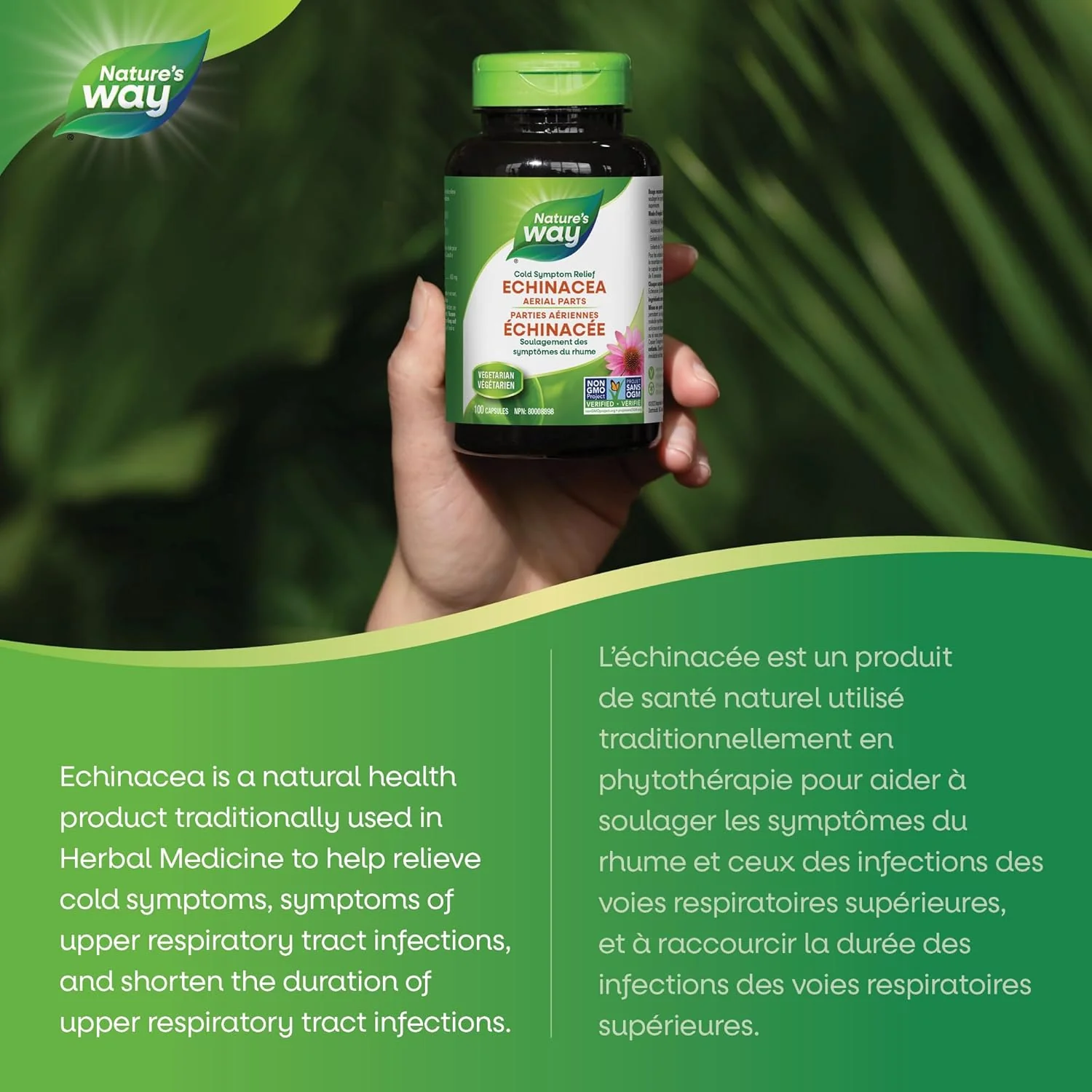 Echinacea Herb by Nature’s Way – Cold & Respiratory Support | 100 or 180 Capsules - Image 5