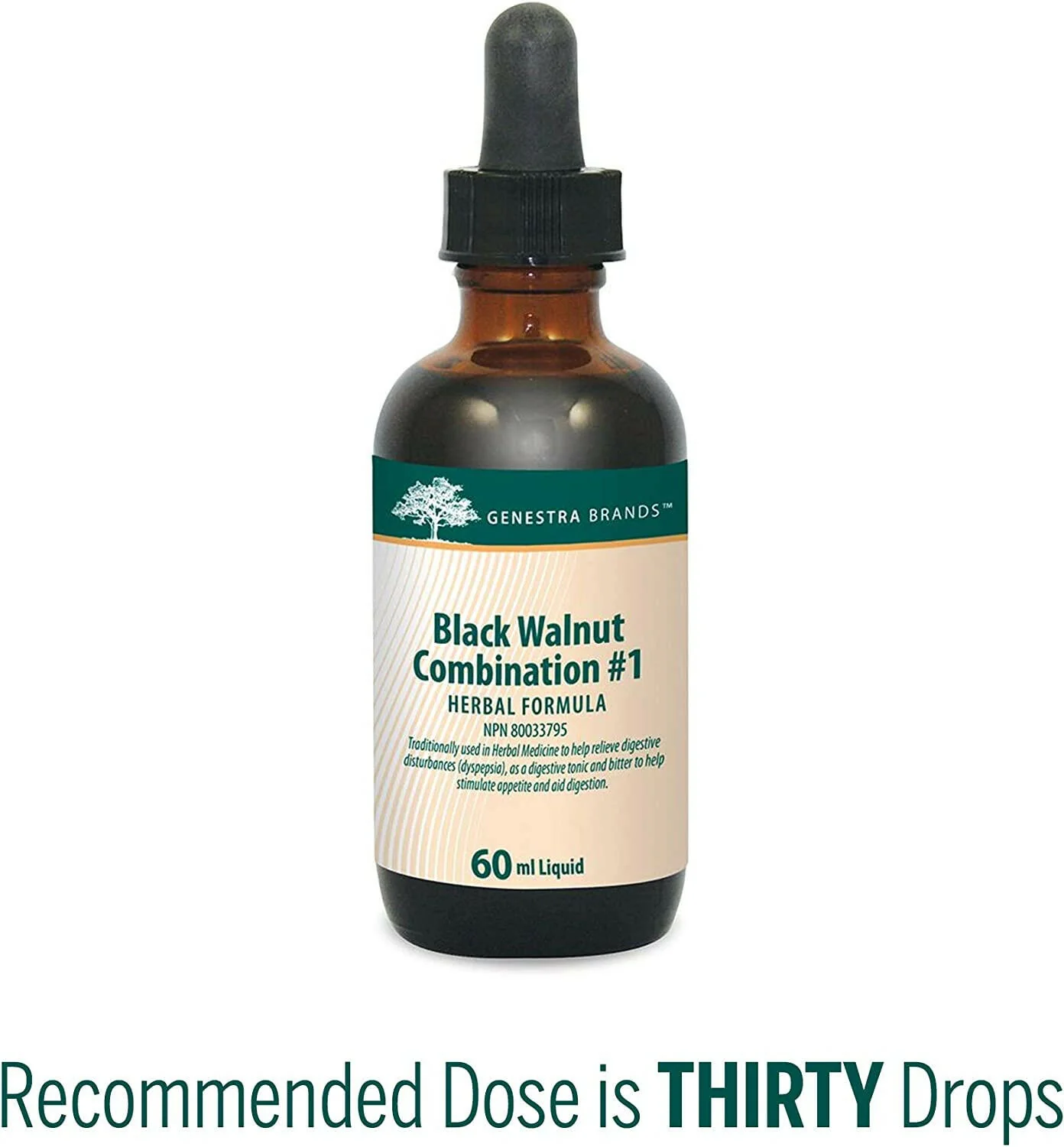 Black Walnut Combination #1 Liquid by Genestra Brands® – Digestive & Antimicrobial Herbal Support | 60 mL - Image 3