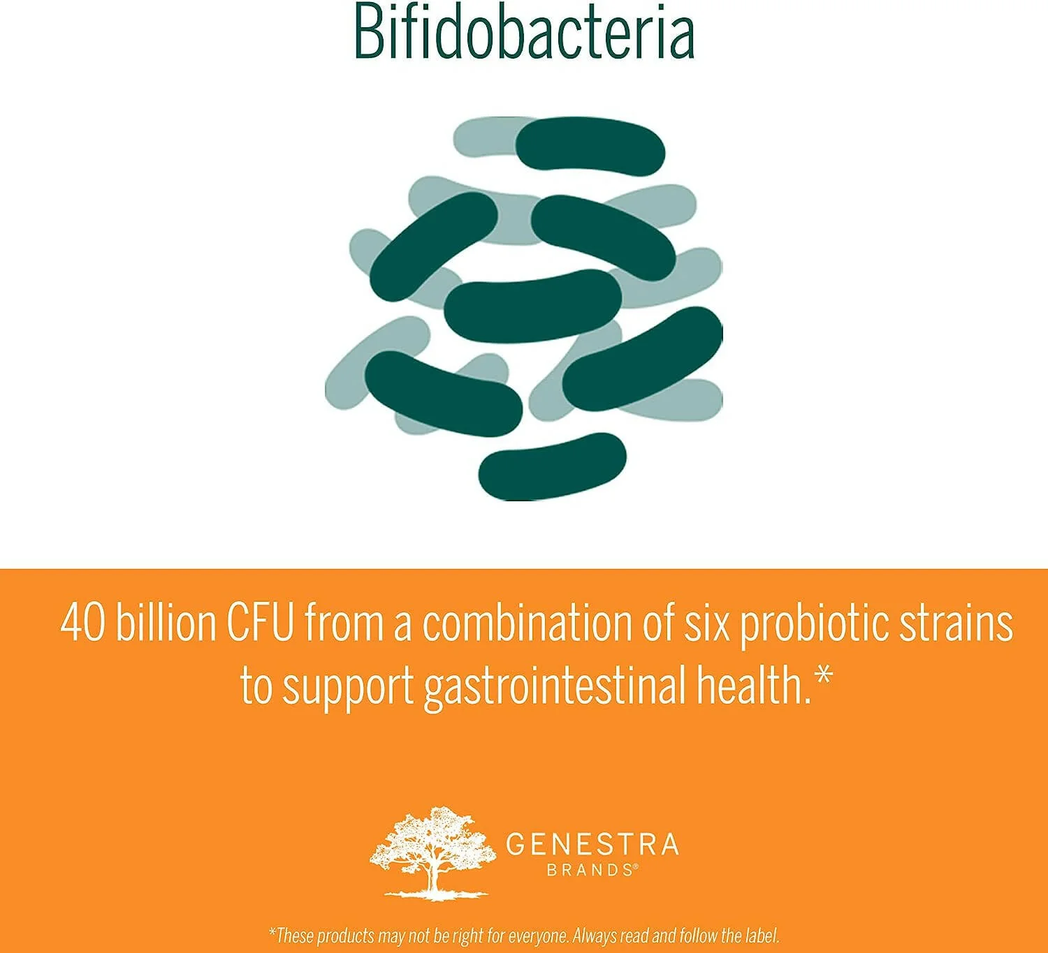 HMF Bifido Capsules | Genestra Brands® | 30 Capsules - Image 4