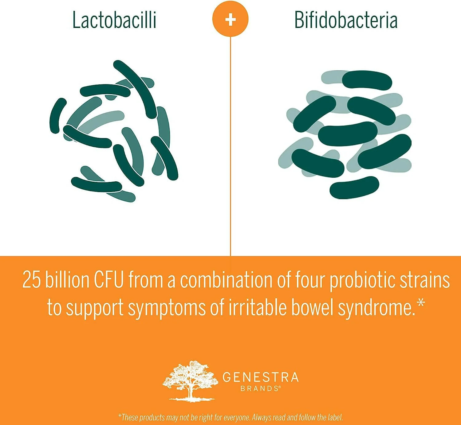 HMF IBS Relief by Genestra Brands® – Probiotic Support for IBS & Gut Comfort | 30 Vegetable Capsules - Image 6