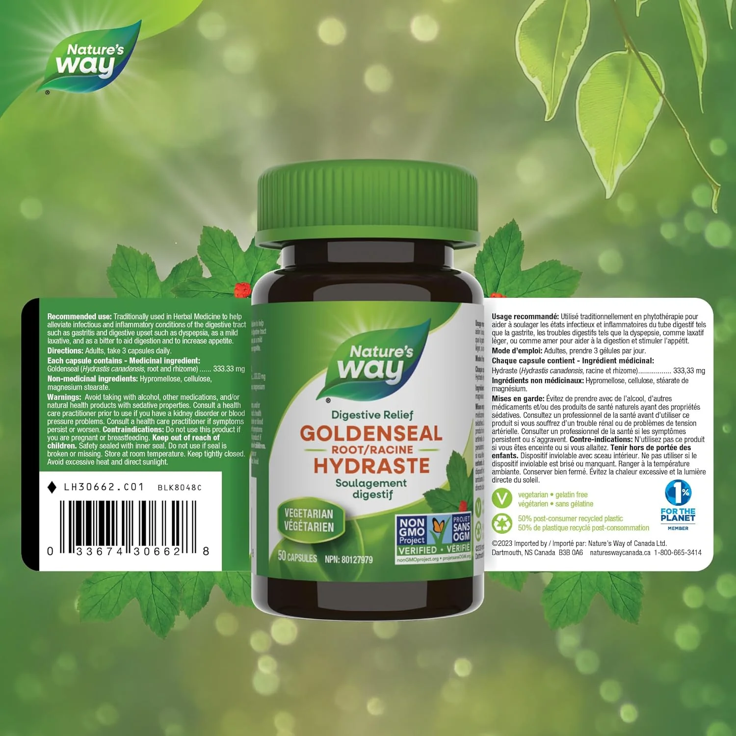 Goldenseal Root | Nature's Way® | 50 or 100 Capsules - Image 7