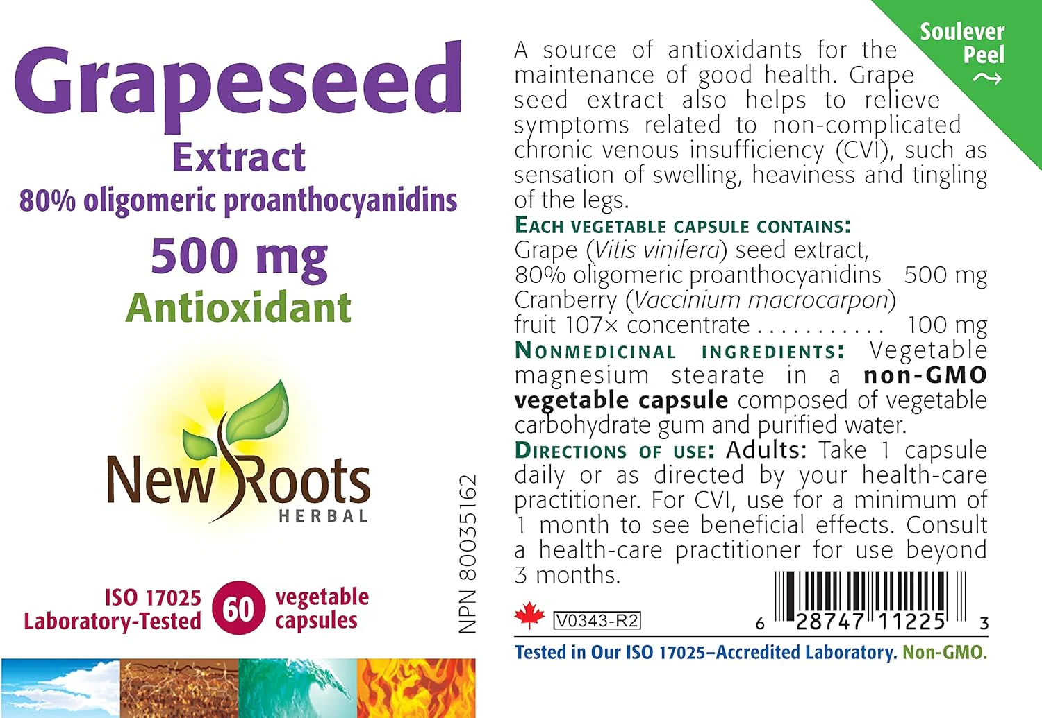 Grapeseed Extract 500 mg | New Roots HERBAL® | 60 Veg Capsules - Image 4