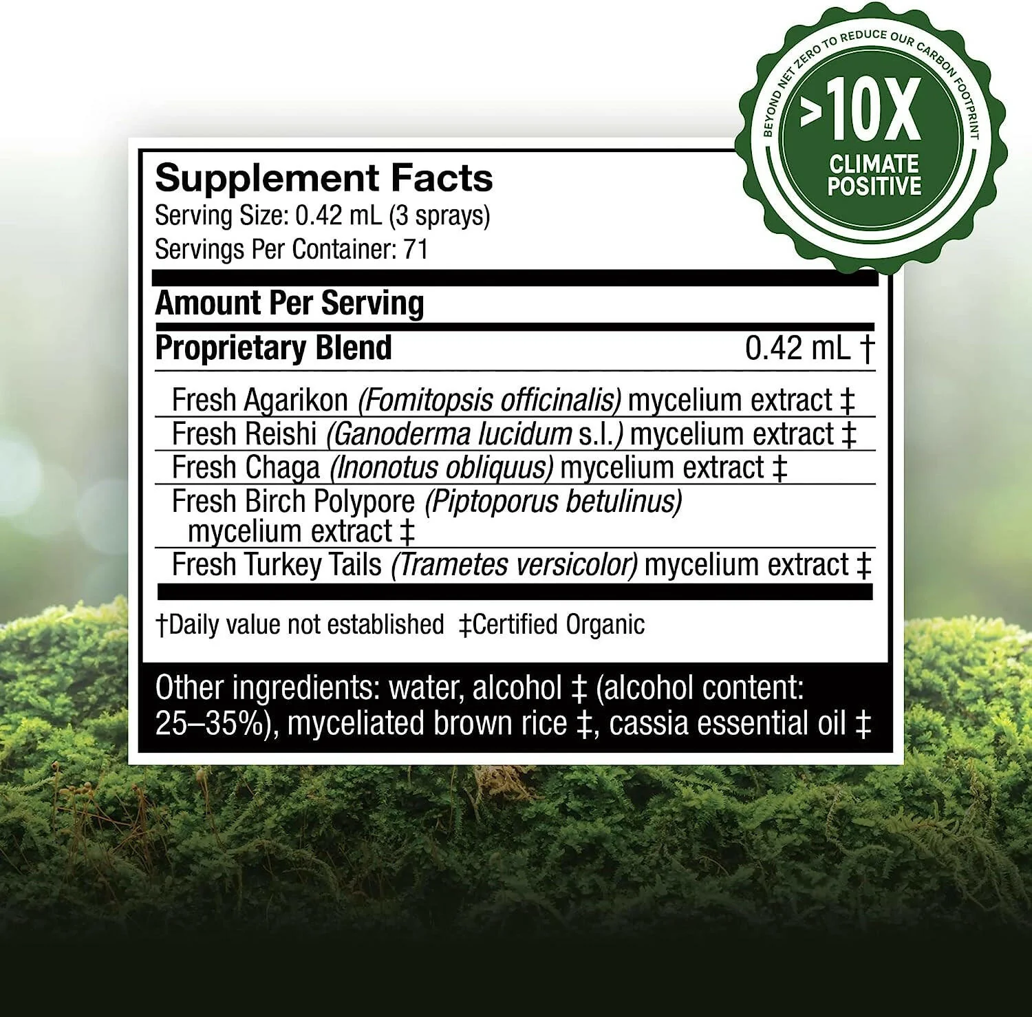 MycoShield® Cinnamon Spray | Host Defense® Mushrooms™ | 30 mL (1 fl oz) - Image 14