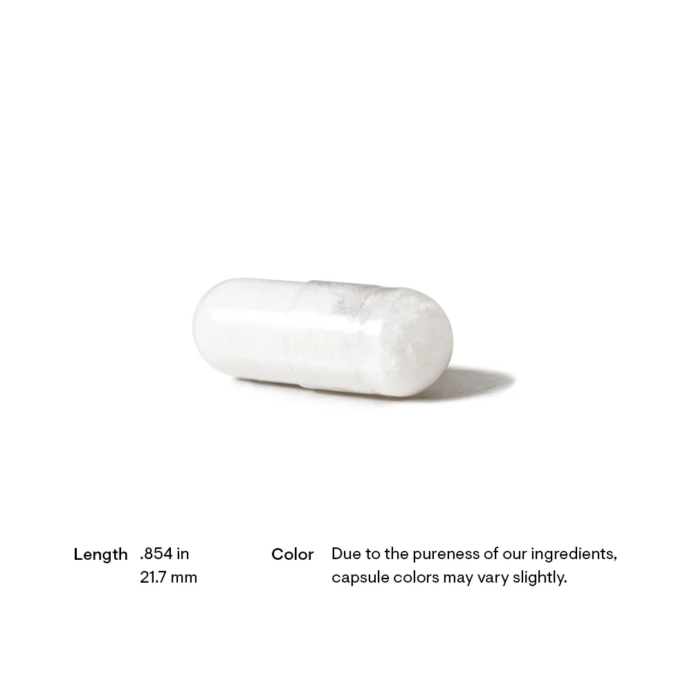 L-Glutamine by Thorne® – Gut, Immune & Muscle Support | 90 Capsules - Image 4