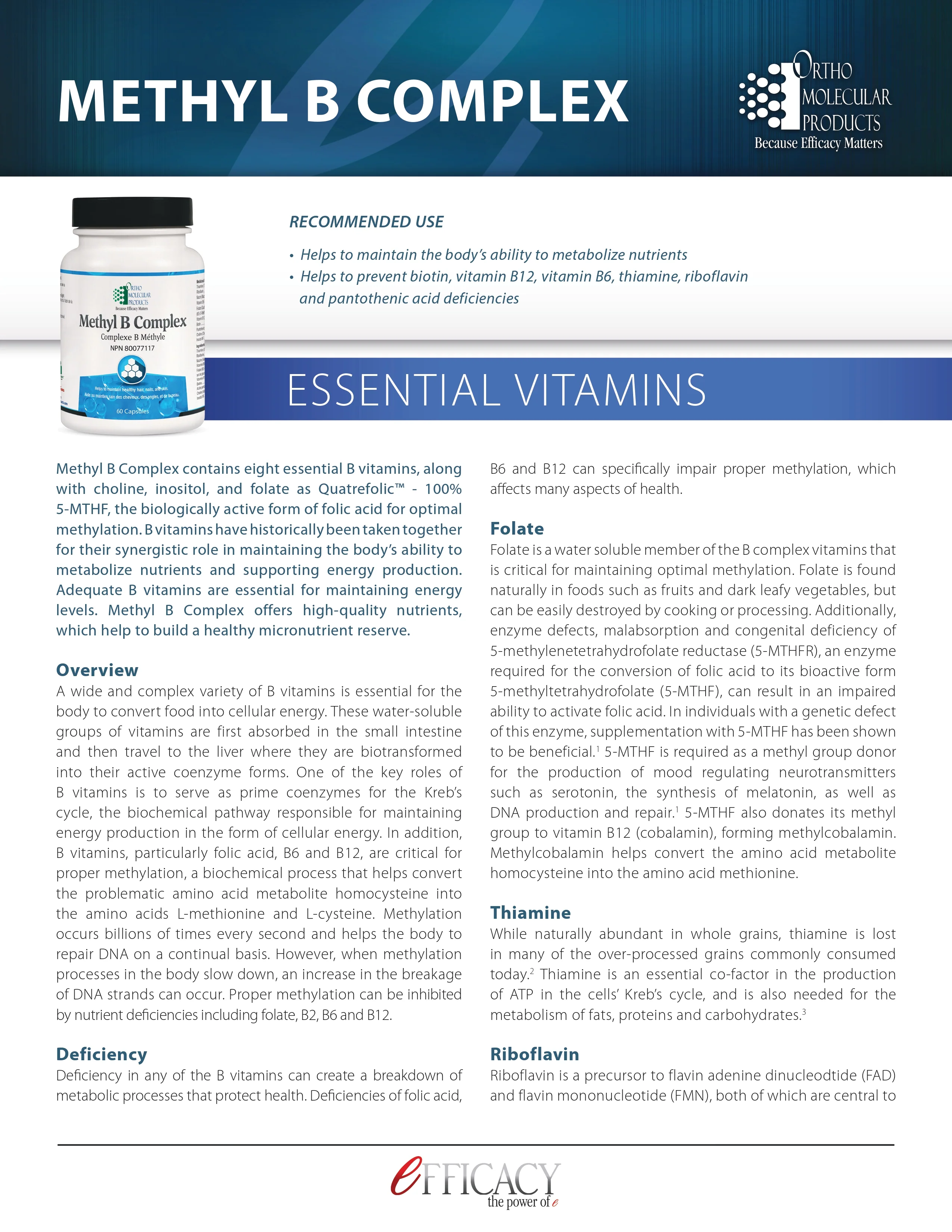 Methyl B Complex | Ortho Molecular | 60 Capsules - Image 5