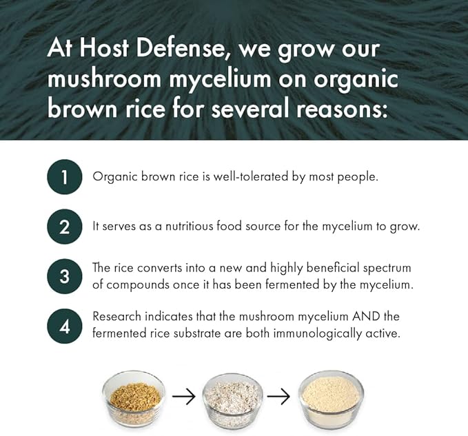 MycoBotanicals® Liver Capsules | Host Defense® Mushrooms™ | 60 Capsules - Image 9