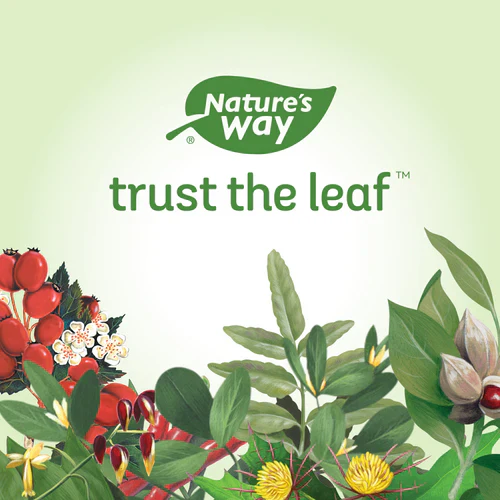 Neem | Nature's Way® | 100 Capsules - Image 13