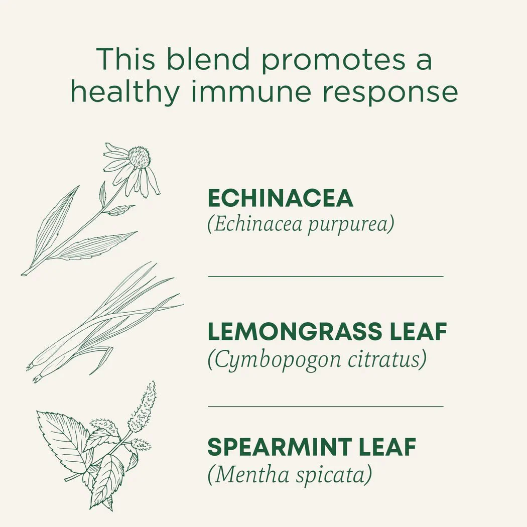 Organic Echinacea Plus® Tea Original by Traditional Medicinals® – Immune Support Herbal Tea | 16 Tea Bags - Image 5
