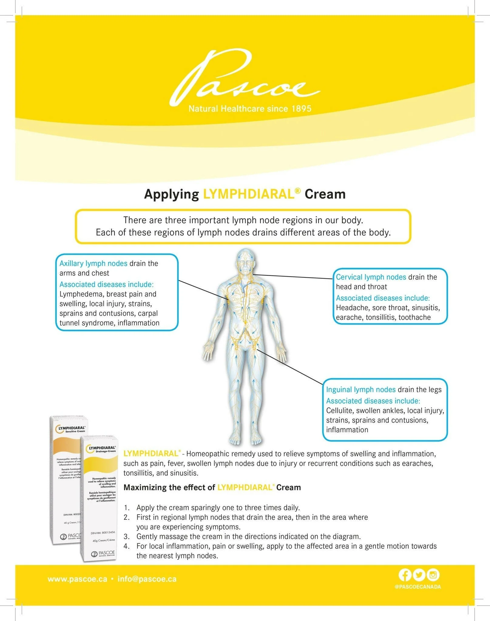 Lymphdiaral Drainage Cream by Pascoe® – Lymphatic, Swelling & Circulation Support | 40 g - Image 6