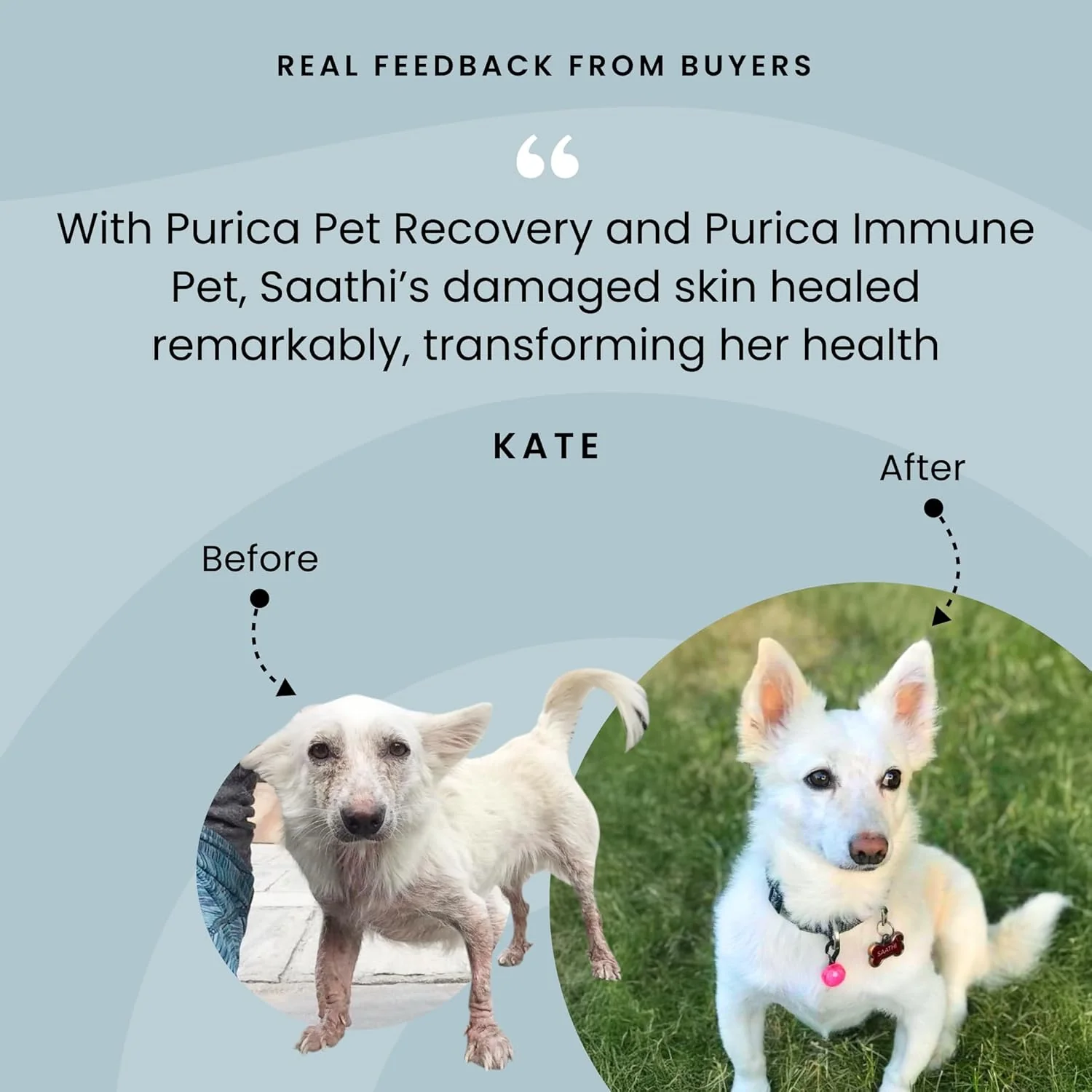 Pet Recovery Extra Strength | Purica® | Various Sizes - Image 12
