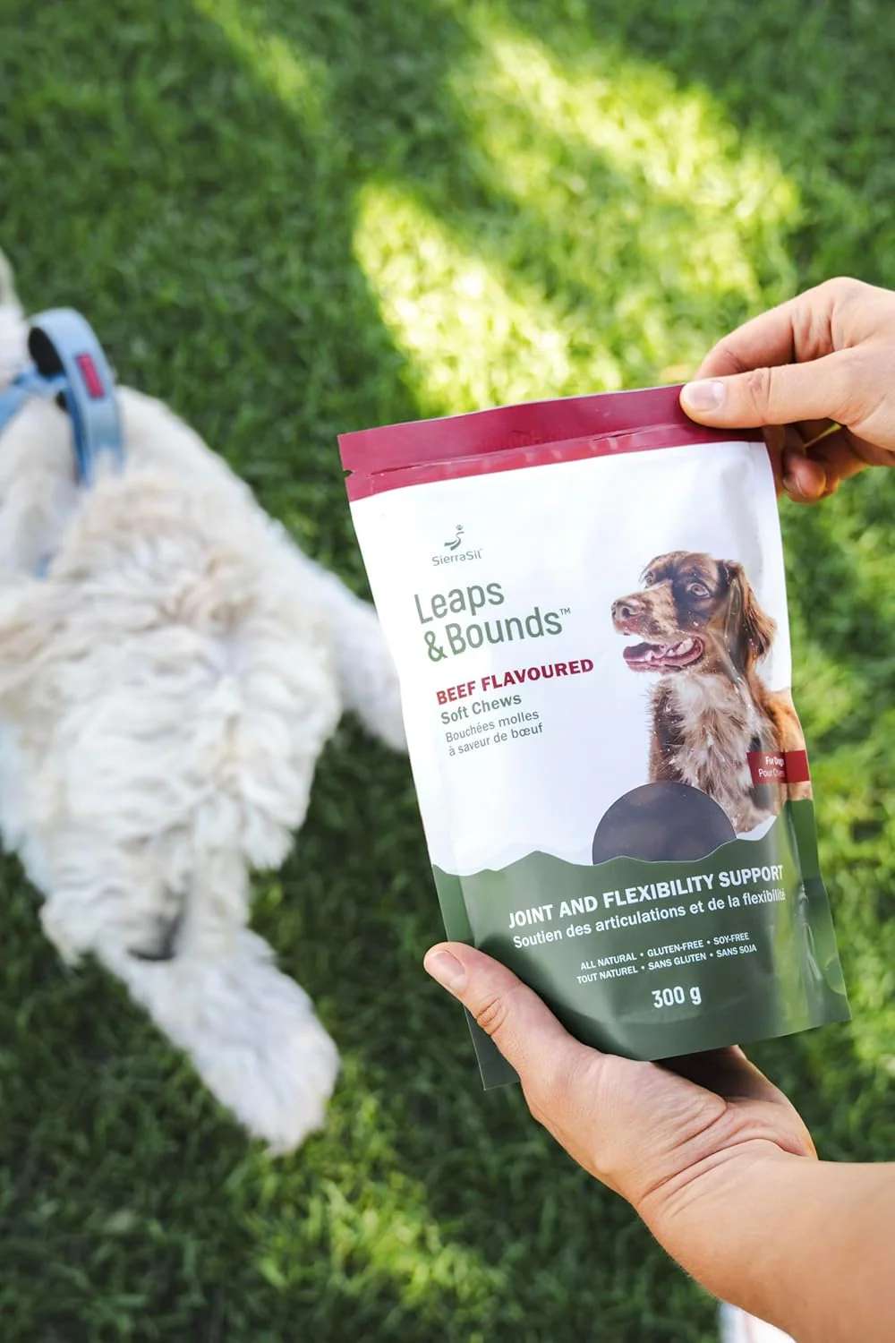 Soft Chews | SierraSil® LEAPS & BOUNDS | 300g - Image 3