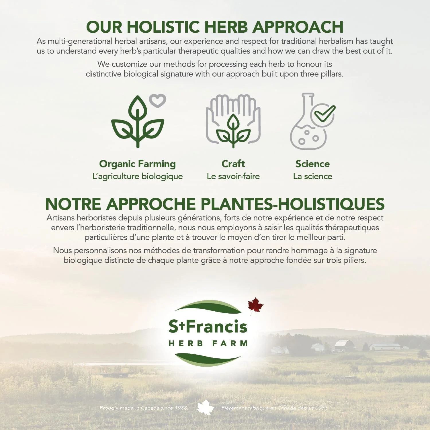 Stop It Cold® Throat Spray by St. Francis Herb Farm – Immune & Throat Support | 30 mL - Image 6