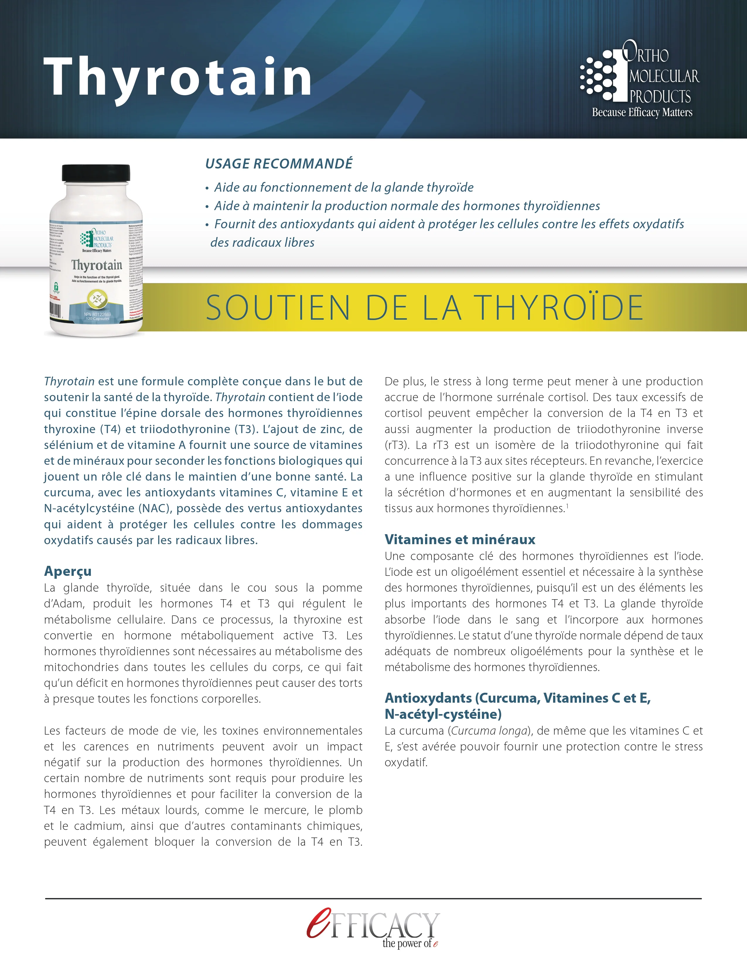 Thyrotain | Ortho Molecular | 120 Capsules - Image 5