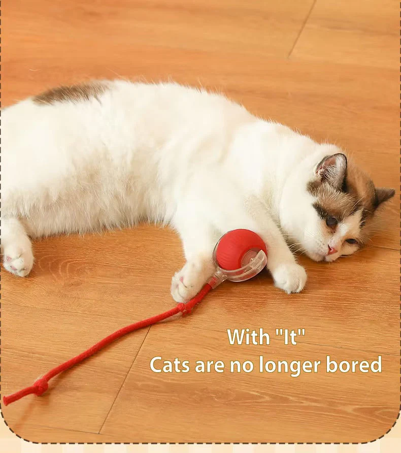Vibrating Bouncing Ball – Interactive Toy for Cats & Dogs - Image 12