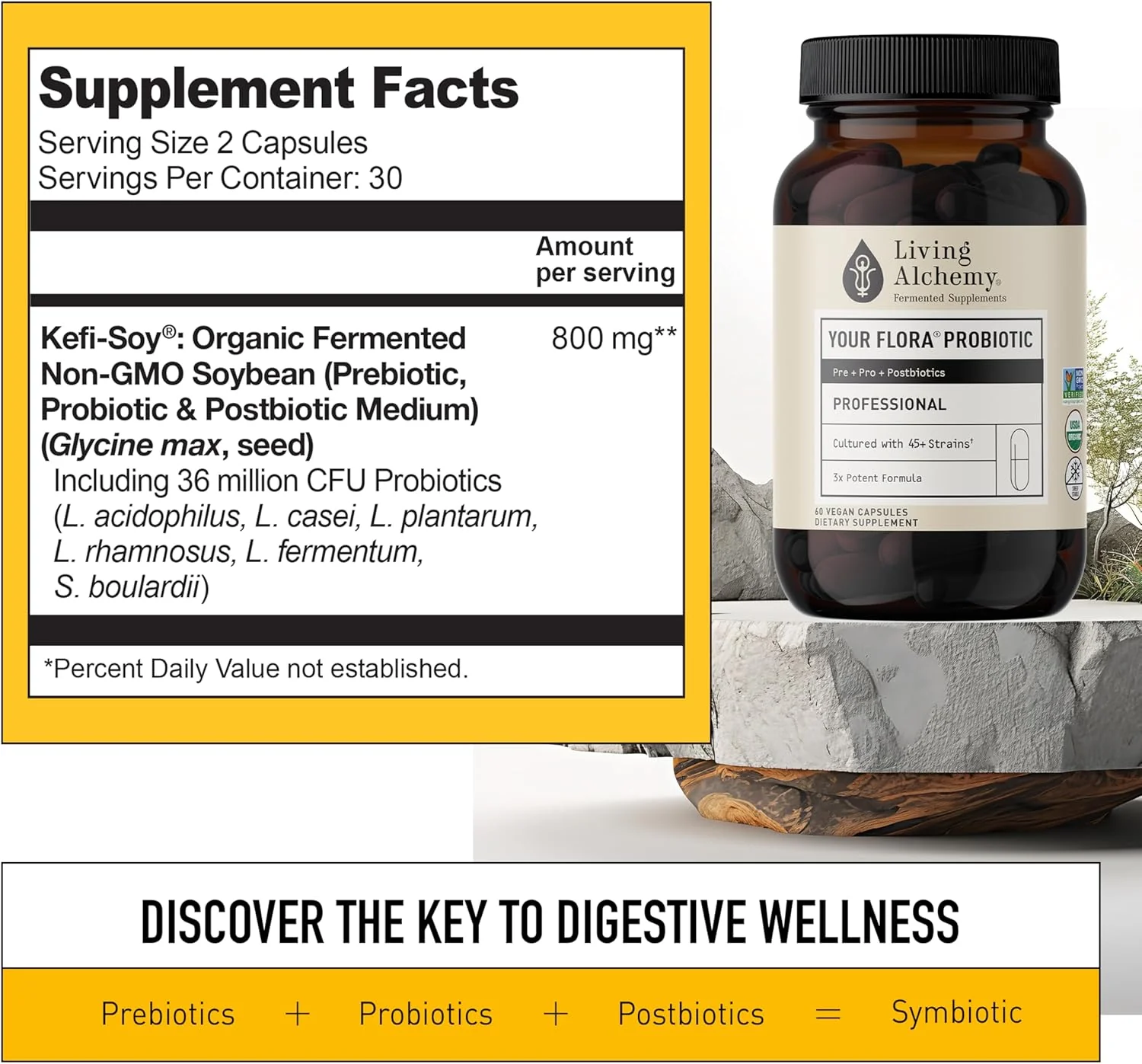 Your Flora Probiotics Man by Living Alchemy® – Gut, Prostate & Urinary Support | 60 Vegan Capsules - Image 2