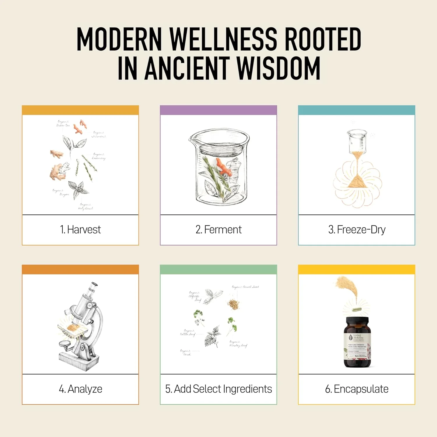 Your Flora® Probiotic Woman | Living Alchemy® | 60 Vegan Capsules - Image 9